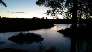 The stream at dusk