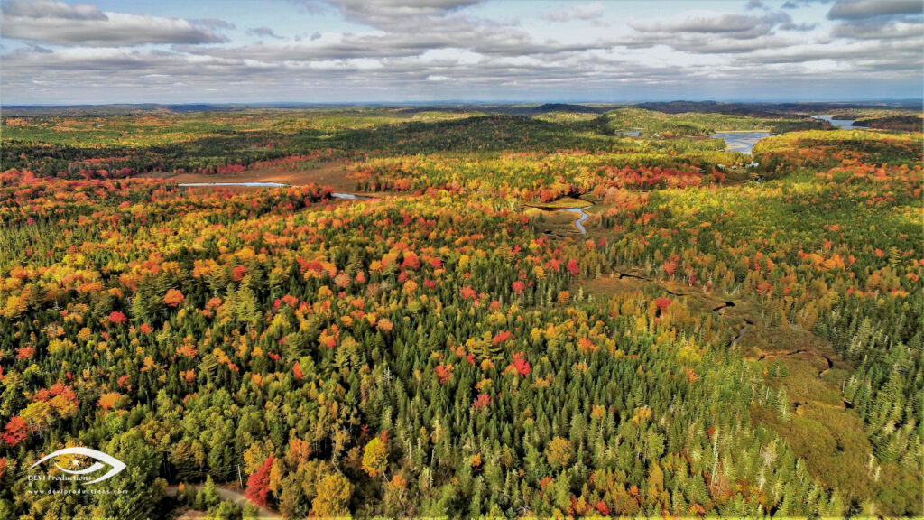 Whiting Maine, Lively Brook meets Orange River